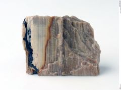 Foto von Holzopal (NHMW-MIN-Ag842)
